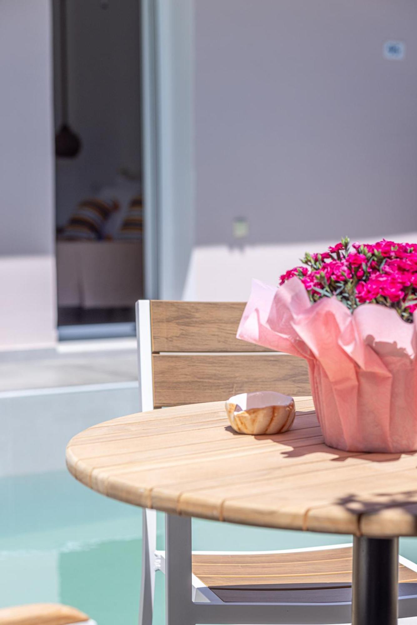 Holiday home Soso's Garden House With Pool Planos (Zakynthos)